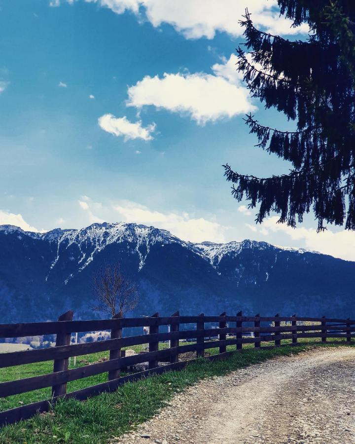 Casa Mesterului Sohodol  Dış mekan fotoğraf