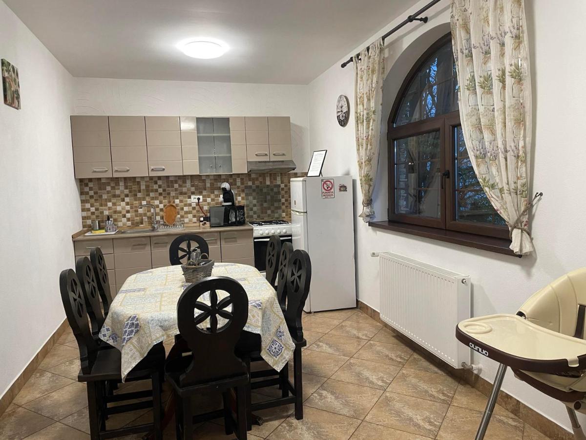 Casa Mesterului Sohodol  Dış mekan fotoğraf